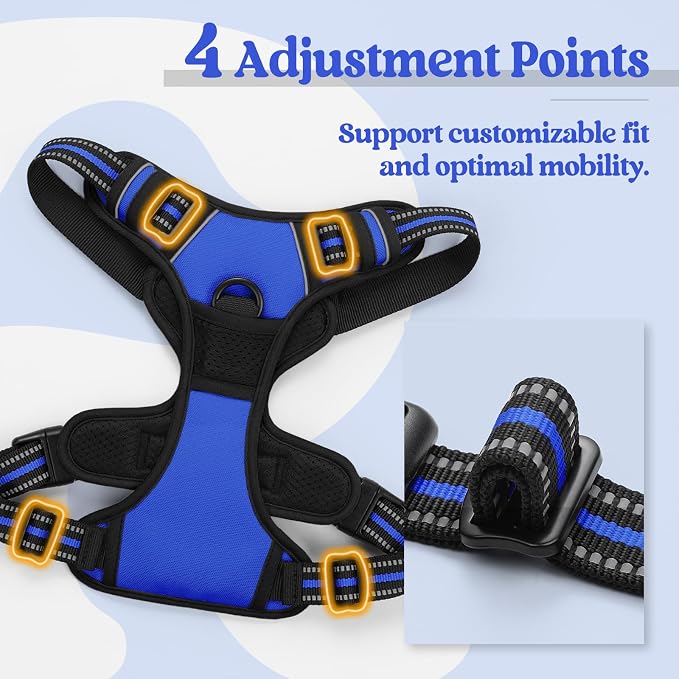 rabbitgoo Dog Harness, No Pull for Large Dogs with 2 Leash Clips, Pet Vest | No Choke with Handle, Adjustable Soft Padded, Reflective, Easy Control for Walking, Dazzling Blue, X-Large