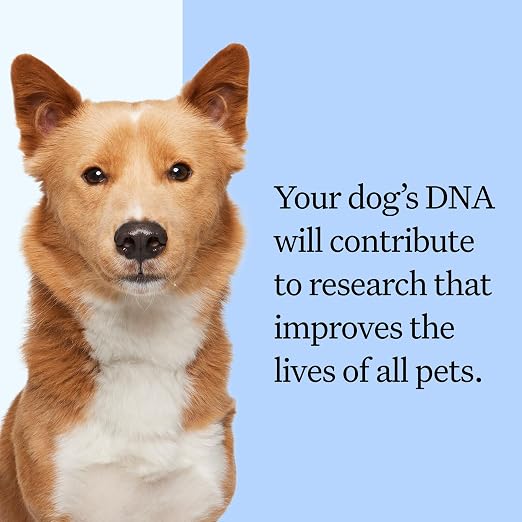 Wisdom Panel Breed Discovery DNA Test Kit