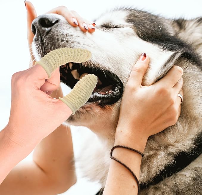 Kisangel 10 Pcs Dog Finger Toothbrush Set for Large Dogs Soft Silicone Pet Toothbrushes in Yellow and Light Blue Oral Cleaning for Puppy