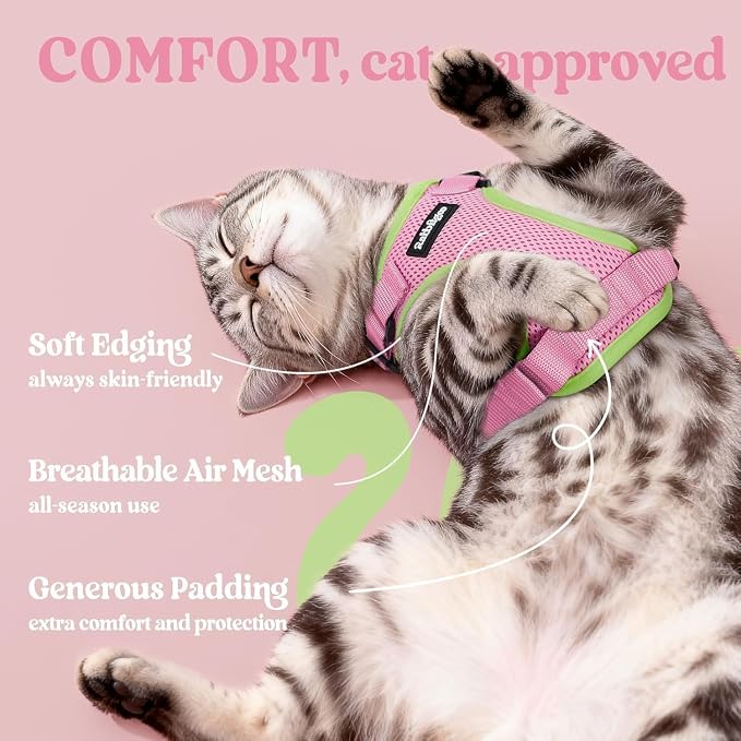 rabbitgoo Cat Harness and Leash Set, Escape Proof Vest, Pink & Light Green | Soft Breathable Mesh, Easy Adjustable Fit, Snap Buckles, Sturdy Clip, Reflective Strips, for Average Cats Walks, S