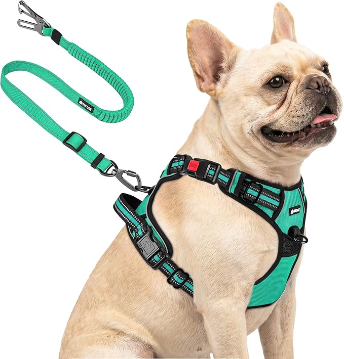 Joytale No Pull Dog Harness & Seat Belt, Easy On 3-Buckle, S, Teal | Front Clip Reduces Pulling, Escape-Resistant Design, Adjustable Fit, Soft Padding for Comfort, Secure Tether for Safer Travel