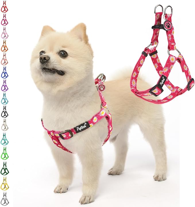 PUPTECK No Pull Dog Harness Small Sized Step-in Adjustable Puppy Vest | Soft Webbing Basic Halter with ID Tag for Outdoor Walking