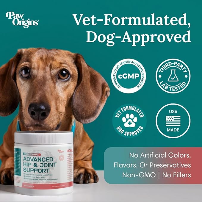 Mobility Max Dog Hip and Joint Supplement with Glucosamine, Chondroitin, MSM & Vitamin C – Hip and Joint Chews for Dogs – 9-in-1 Advance Formula – 60 Bacon Chews for Active & Senior Dogs, 240g