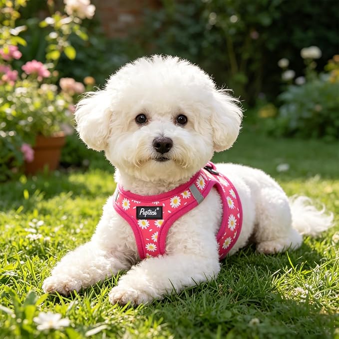 PUPTECK Dog Harness and Leash Set for Small Medium Dogs No Pull Step-in Soft Mesh Puppy Cat Vest Harnesses Reflective at Night, Fuchsia Daisy, S