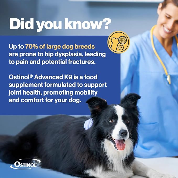 ZyCal Ostinol Advanced K-9 Joint Supplement for Dogs – Bioactive Protein Complex with Cyplexinol® Pro 50mg | Bone & Joint Dog Supplement | 90 Chewable Bone-Shaped Tablets