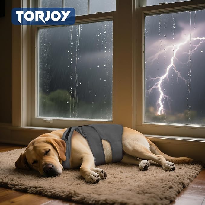 Dog Anxiety Jacket, Large, Dark Gray