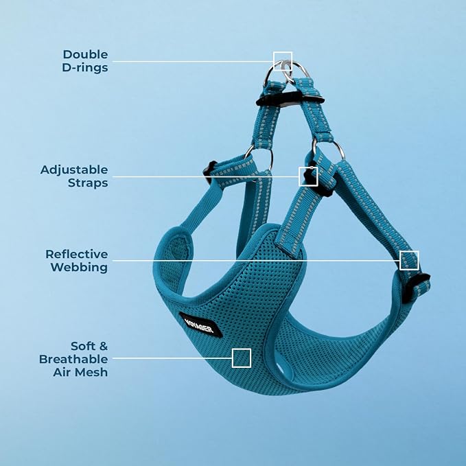 Voyager Step-in Flex Adjustable Dog Harness - Turquoise, Medium | 17 - 21" in Chest, Fully Adjustable, Reflective Bands, All Weather Breathable Air Mesh, Lightweight, Fast Drying