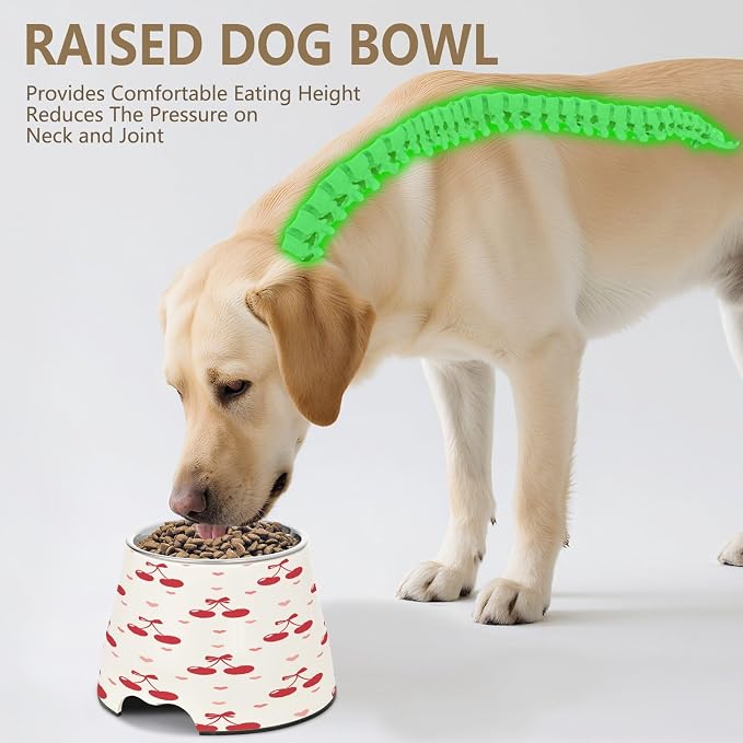 Blueangle Elevated Dog Bowls with Stainless Steel - Non-Slip 2.3 Cup High Capacity Pet Dish for Spinal Health & Cherries and Bows Design（291）