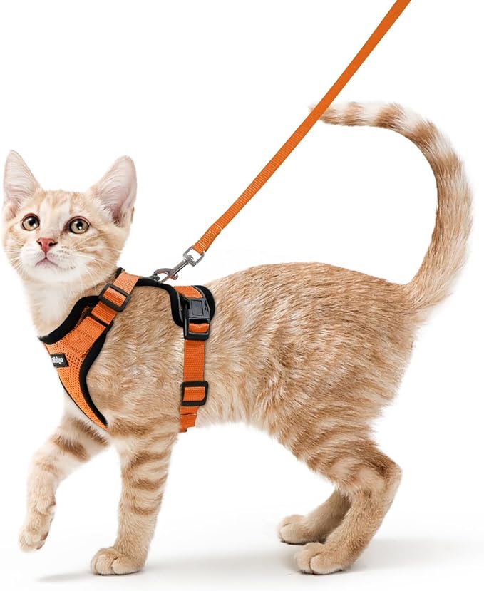 rabbitgoo Cat Harness and Leash Set, Escape Proof Vest, Orange | Soft Breathable Mesh, Easy Adjustable Fit, Snap Buckles, Sturdy Clip, Reflective Strips, for Small & Average Cats Walks, Xs