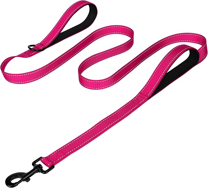 Joytale Dog Leash for Large Dogs that Pull, Double Handle, 5FT, Hot Pink | Traffic Handle for Control, Padded Handle Reduces Hand Strain, Reflective Stitching for Night Safety, Strong Nylon Webbing