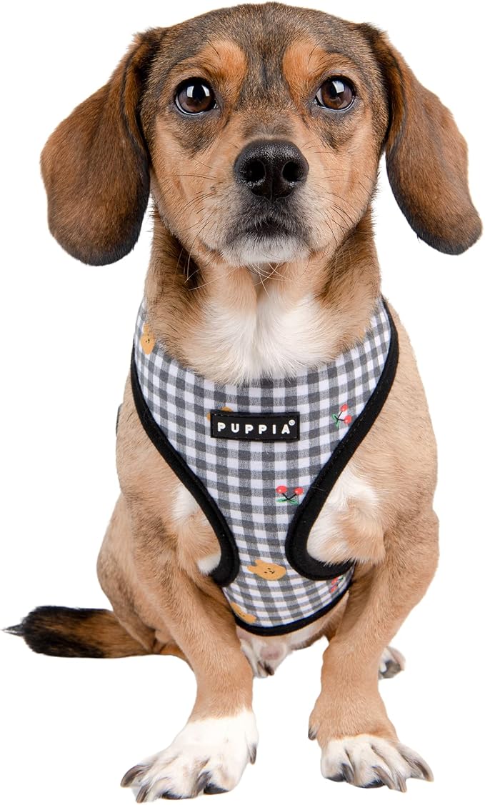 Puppia Spring and Summer Fashion Over-The-Head Dog Harness, Black_Baba, Large