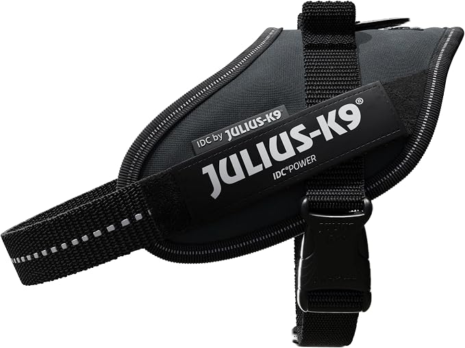 Julius-K9, 16IDC-ANT-M, IDC Powerharness, Dog Harness, Size: Mini, Anthracite