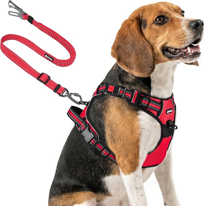 Joytale No Pull Dog Harness & Seat Belt, Easy On 3-Buckle, M, Red | Front Clip Reduces Pulling, Escape-Resistant Design, Adjustable Fit, Soft Padding for Comfort, Secure Tether for Safer Travel