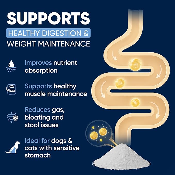 Woofy Pancreatin Digestive Support | Pancreatic Digestive Enzymes | 10x Pancreatin | No Odor | Pancreatin for Dogs and Cats | Pancreatic Enzyme | Great for Pets with EPI | 250 Grams