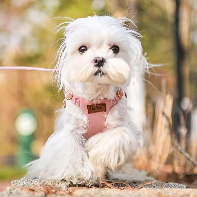 PUPTECK Dog Harness and Leash Set Small Sized, Lightweight Step-in Puppy Harness, Escape Proof No Pull Cute Pet Vest Harnesses, Pink XXS
