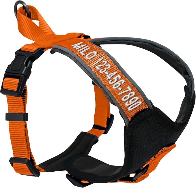 Pawtitas Reflective Padded Dog Harness for Large Dogs – Adjustable Step-in Vest | Fits Chest 27–33 in | No Pull Personalized Training Harness | L | Orange