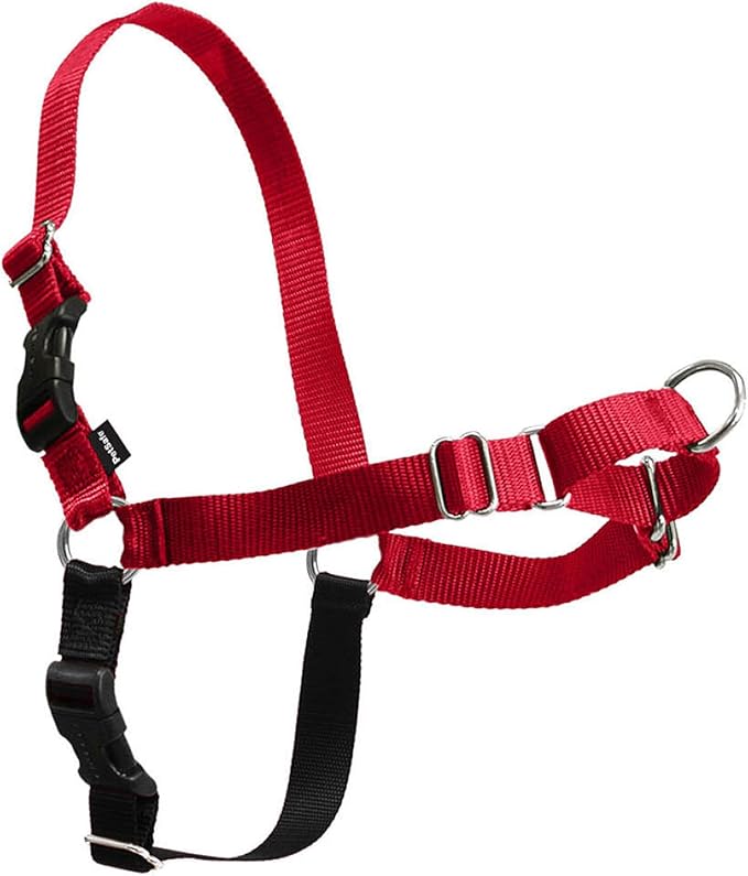 PetSafe Easy Walk Harness for Dogs - Pull-Free Walks - Patented Martingale Loop Design - Front Chest Leash Attachment - Comfort Straps - Breathable Harness Design - Medium, Red/Black