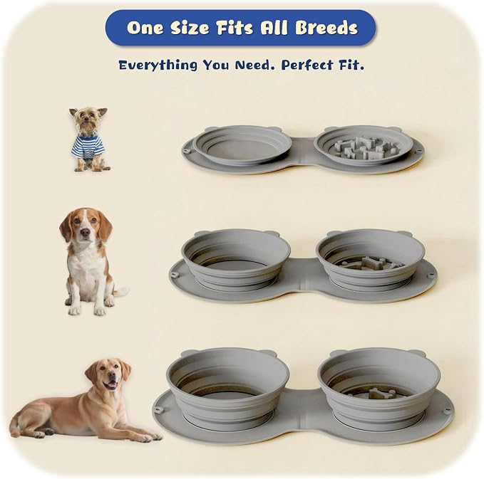 Premium Silicone Collapsible Dog Bowl with Carabiner Clip, 2-in-1