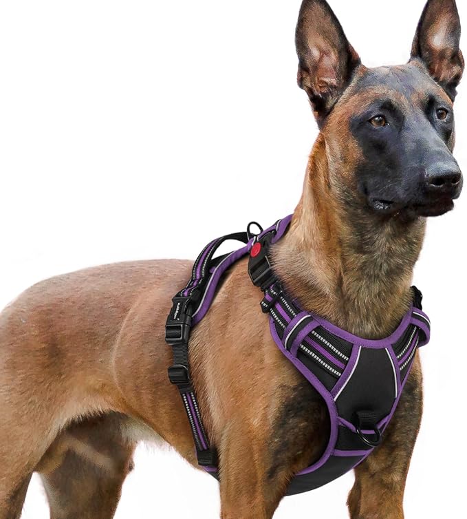 rabbitgoo Dog Harness for Large, Updated Easy On & Off with 3 Buckles | No Pull No Choke, Walking with 2 Clips and Handle, Adjustable Soft Reflective, Black & Purple, X-large