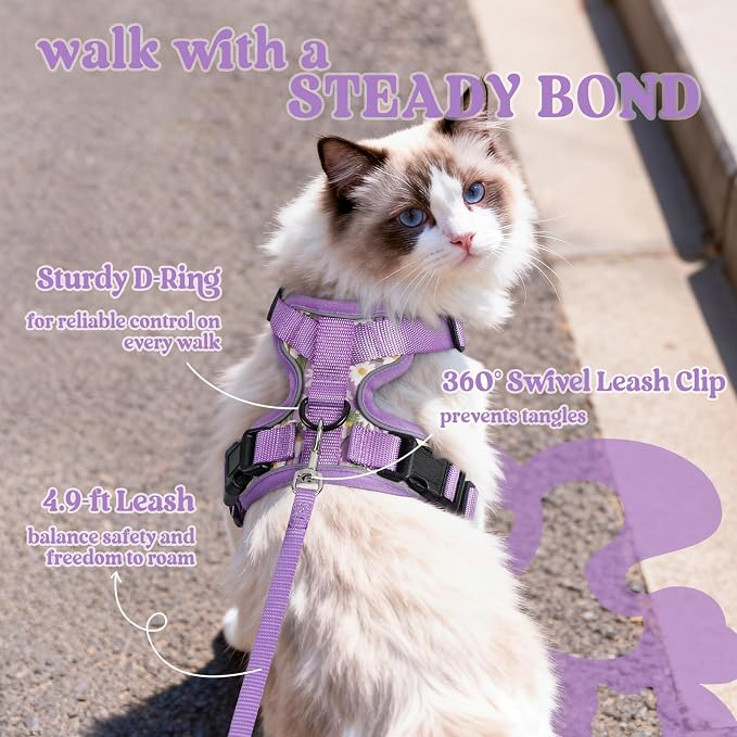 rabbitgoo Cat Harness and Leash Set, Escape Proof Vest, Purr-ple Daisy | Soft Breathable Mesh, Easy Adjustable Fit, Snap Buckles, Sturdy Clip, Reflective Strips, for Medium to Large Cats Walks, M