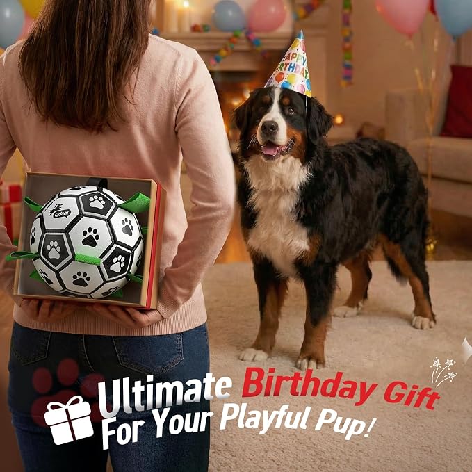 QDAN 10 Inch Gaint Dog Soccer Ball with Straps, Durable Large Dogs Balls | Outdoor Big Dog Toys, Herding Balls for Large Dogs, Puppy Toy for >100 lbs Dogs, Interactive Training Soccer, Pool Water Toy