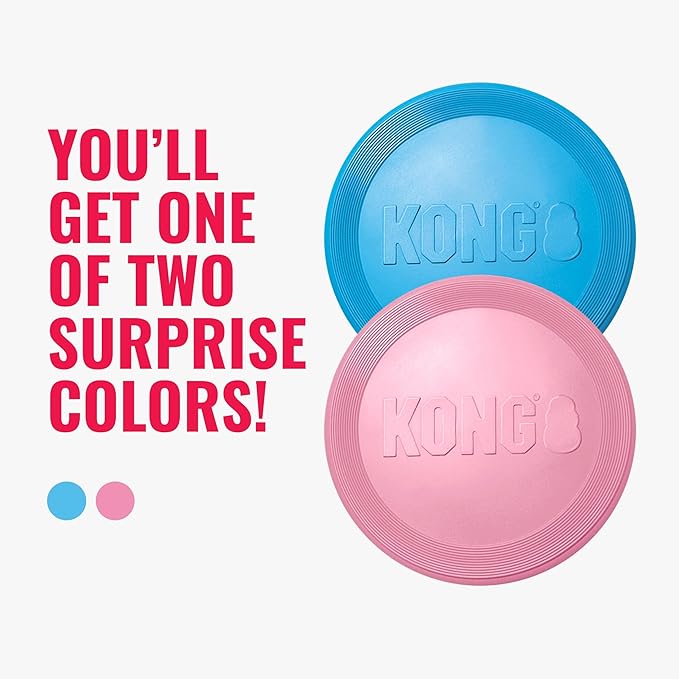 KONG Puppy Flyer, Soft Rubber Flying Disc, for Small Puppies, Random Color | Soft Gentle Rubber Flying Disc Made for Growing Puppies, Great for Easy Fetch & Active Outdoor Playtime