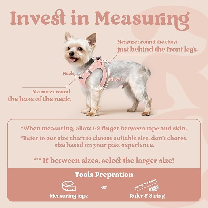 rabbitgoo Step-in Small Dog Harness, Puppy Vest for Small Sized Pet | Easy Put on and off, Lightweight, Soft, Breathable Quick-Dry Air Mesh for Comfortable Secure Walking, Pink S