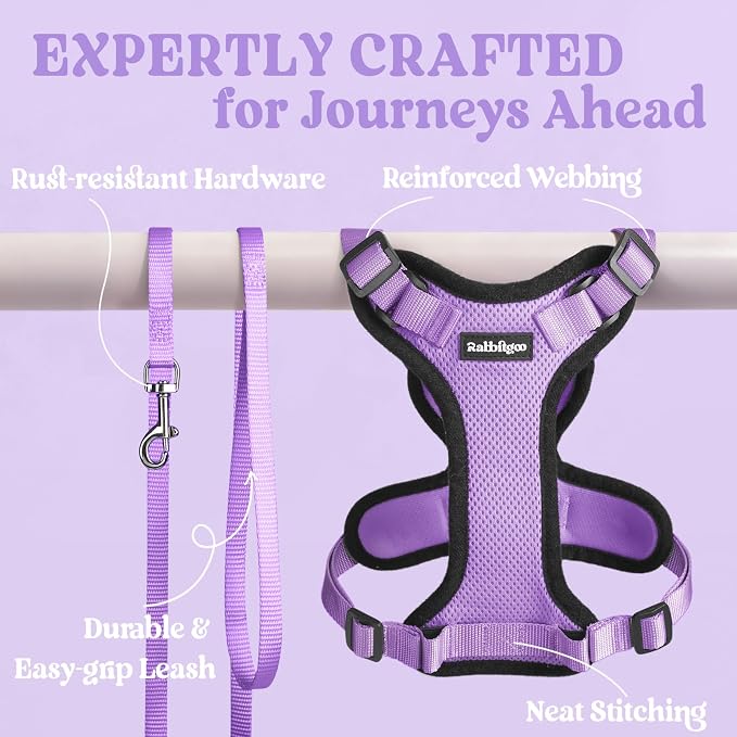 rabbitgoo Cat Harness and Leash Set, Escape Proof Vest, Light Purple | Soft Breathable Mesh, Easy Adjustable Fit, Snap Buckles, Sturdy Clip, Reflective Strips, for Medium to Large Cats Walks, M