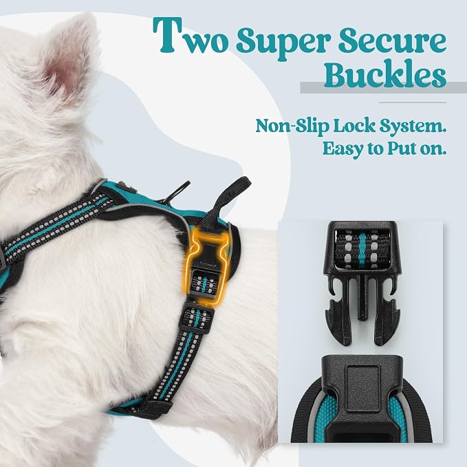 rabbitgoo Dog Harness No Pull with 2 Leash Clips, Adjustable Soft Padded, Reflective Oxford No Choke Pet Vest with Easy Control Handle for Puppy, Teal, XS | No Choke with Handle, Adjustable Soft Padded, Reflective, Easy Control for Walking, Teal, X-Small
