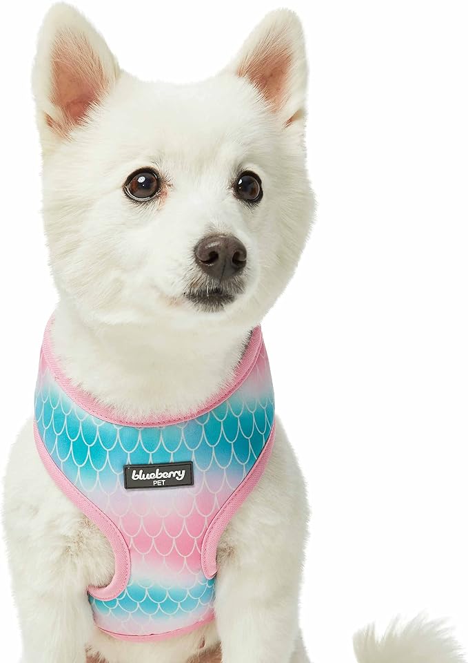 Blueberry Pet Summer Sparkle Dog Harness Vest, Adjustable Small Size, Chest Girth 16" - 21", Pink and Blue, Ocean Mermaid Scales Print Nautical Pet Harness