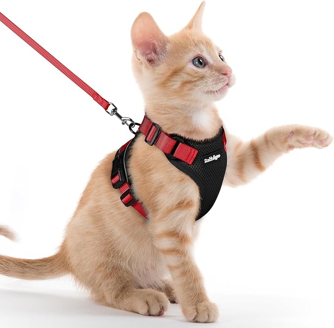 rabbitgoo Cat Harness and Leash Set, Escape Proof Vest, Black & Red | Soft Breathable Mesh, Easy Adjustable Fit, Snap Buckles, Sturdy Clip, Reflective Strips, for Kittens & Small Cats Walks, Xxs