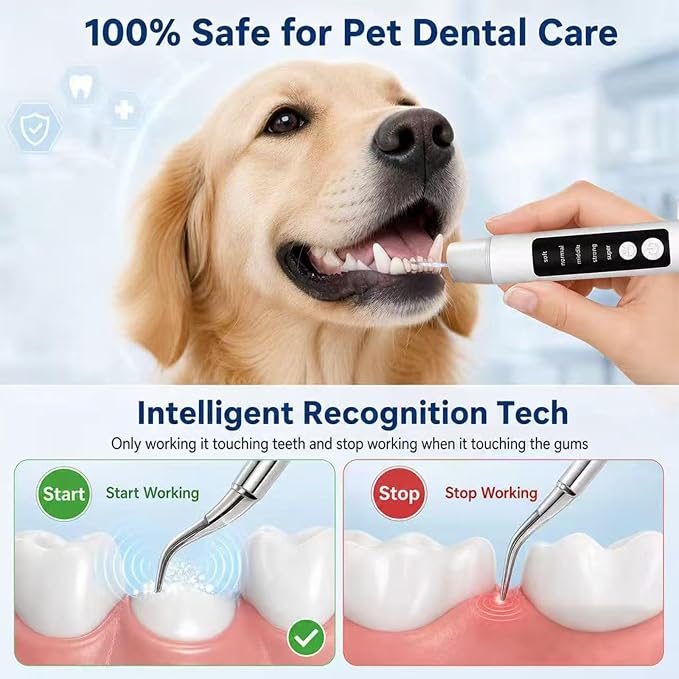Puffluv Pet Teeth Cleaning Kit with LED Light, Electric Dental Cleaner for Dogs & Cats, 5 Adjustable Modes, Tartar & Stain Care Tool (White)