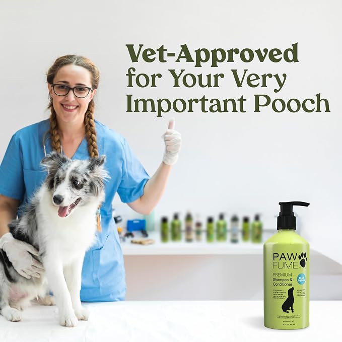 PAWFUME Dog Shampoo and Conditioner, Blue Ribbon, 1-Pack | Probiotic pH-balanced formula nourishes, detangles and deep cleans for silky coat, Puppy Shampoo and Conditioner