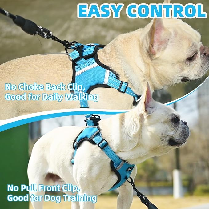PUPTECK Dog Harness Small Sized Dog, Step in Adjustable Reflective Dog Vest Harness Escape Proof, No Pull Soft Padded Harness Easy Control, Blue, XS