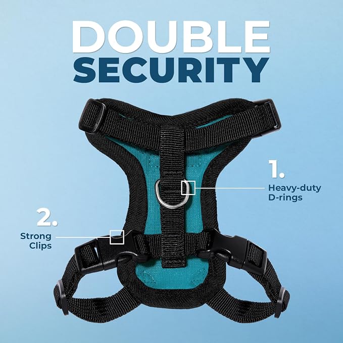 Voyager Escape-Proof Step-in Lock Cat Harness & 5ft Neoprene-Handle Leash Set All-Weather Mesh with Reflective Stitching for Small to Large Cats by Best Pet Supplies, Turquoise/Black Trim, XXXS