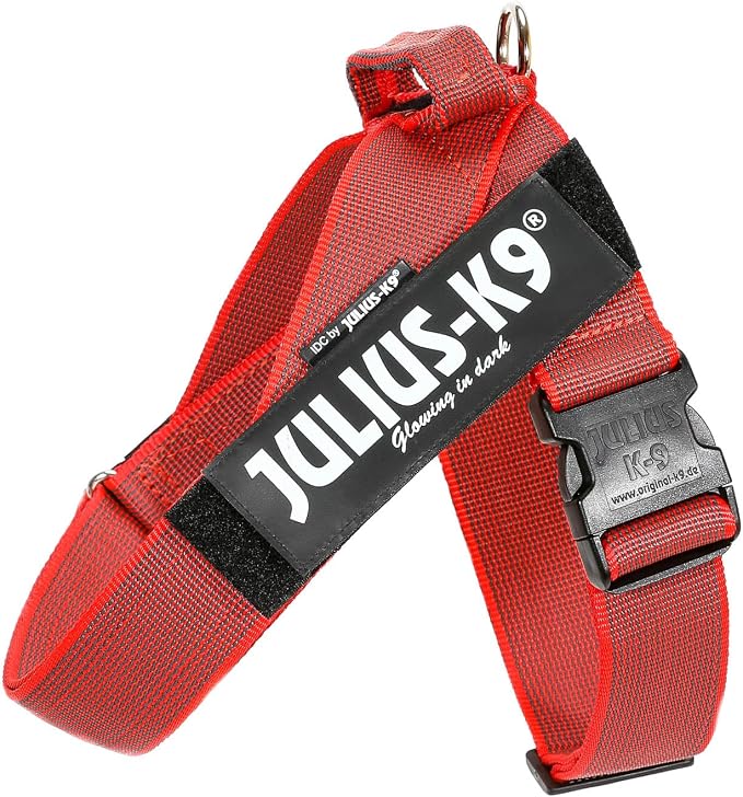 Julius-K9 IDC Color & Gray Belt Harness, Size: L/1, Red-Gray