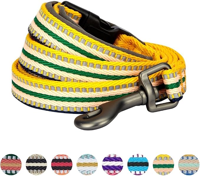 Blueberry Pet 3M Reflective Nylon Dog Leash with Soft Handle, Multi‑Colored Stripe, Yellow & Green, Large
