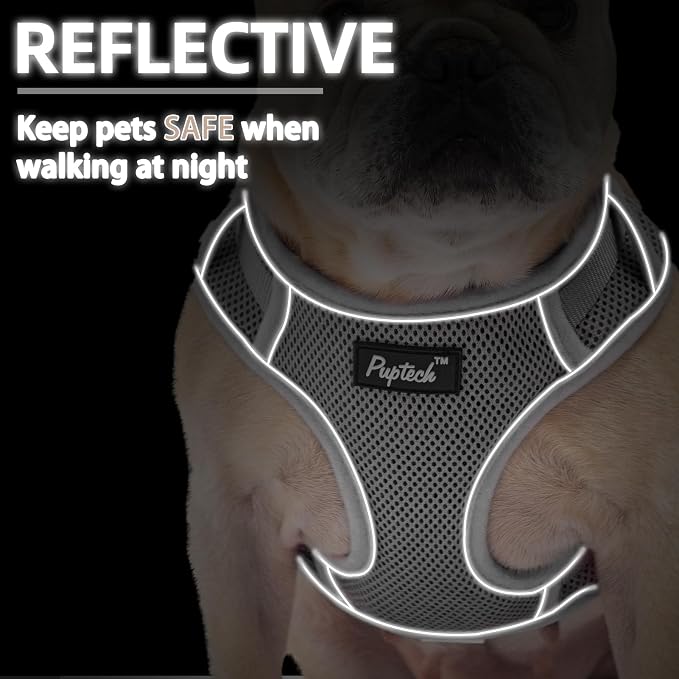 PUPTECK Dog Harness and Leash Set, No Pull Adjustable Pet Small Dog Harness, Reflective Soft Mesh Pet Vest, for Small Medium Dogs Walking, Grey, XS