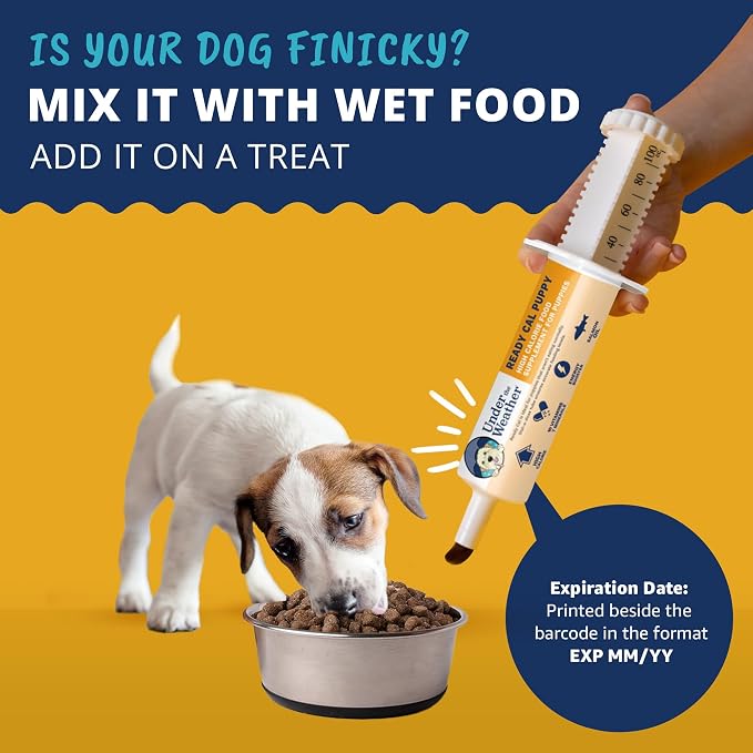 Under the Weather Pet | Ready Cal for Puppy | High Calorie Pet Nutritional Supplement for Weight Gain & Healthy Weight Maintenance | 10 Vitamins, 7 Minerals, Omega Fatty Acids & Carbohydrates | 80cc