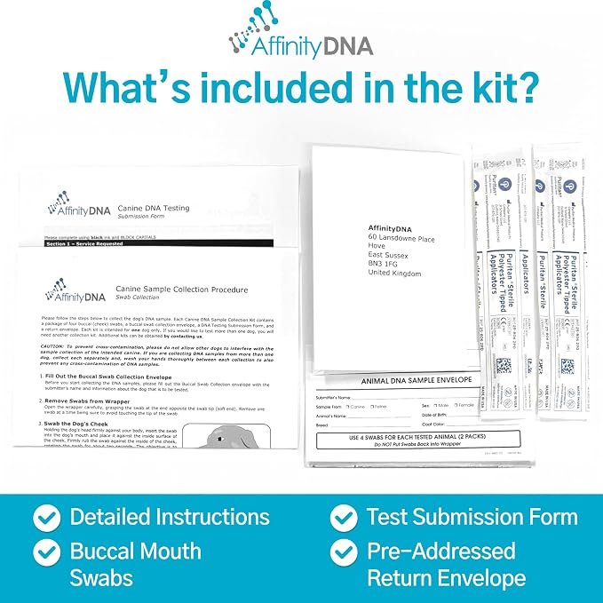 Dog Collie Eye Anomaly (CEA/CH) DNA Test