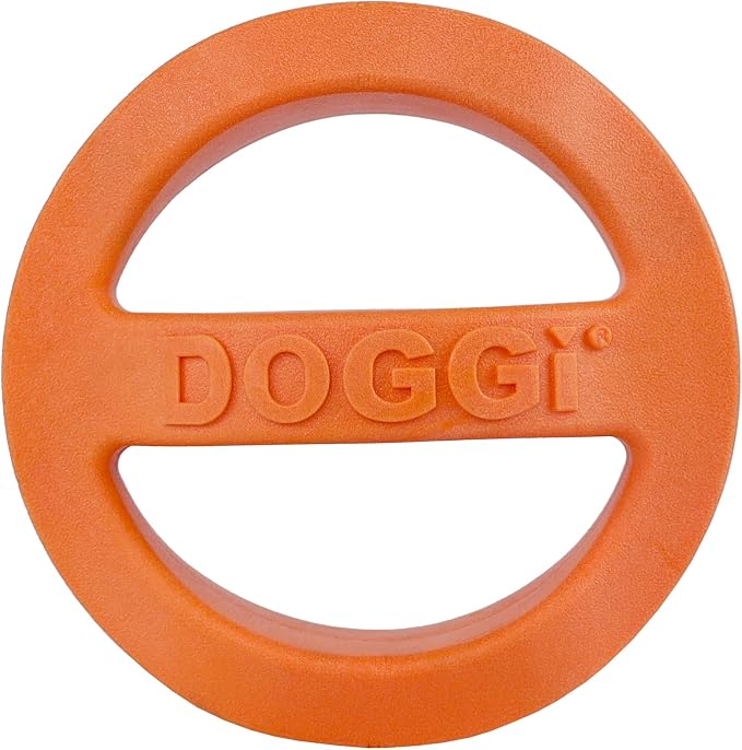 Van Ness Pets Doggi Catch and Carry Flying Disc, Small, Orange