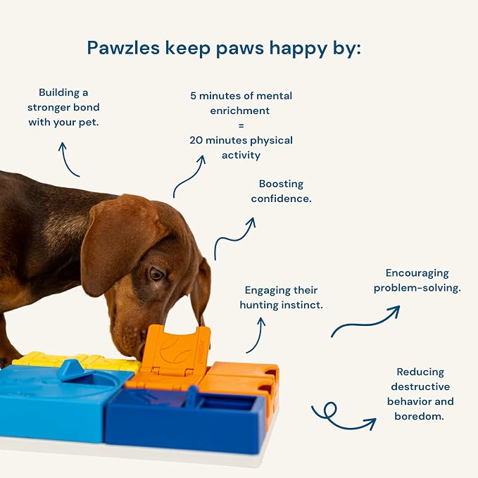 Rainbow Set Pawzler - Modular Dog Puzzle | Pawzler Interactive Dog Treat Puzzles for Canine Enrichment