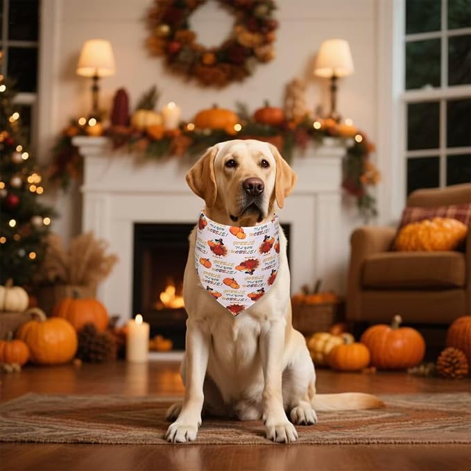 Thanksgiving Dog Bandana for Medium and Large Dogs, Turkey, Medium
