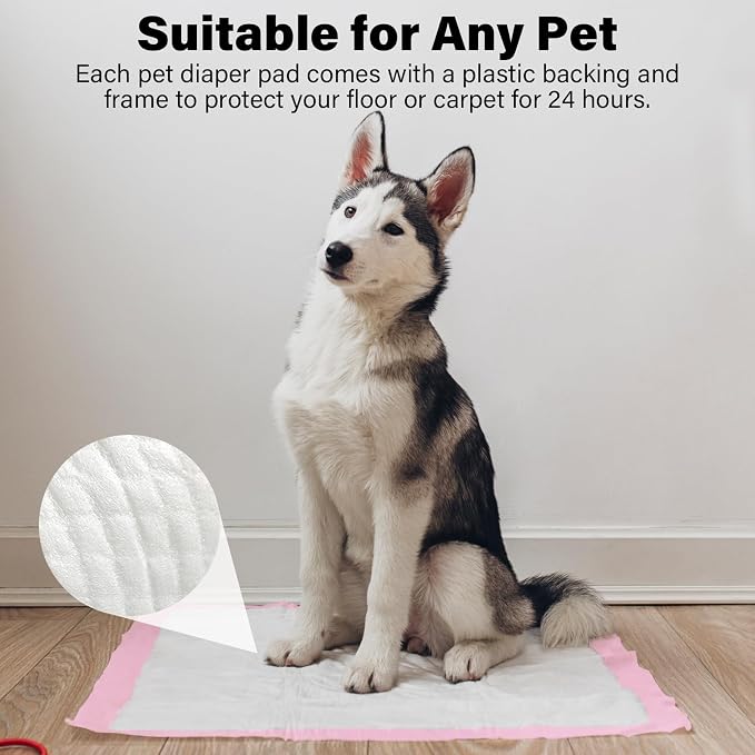 Basics Dog and Puppy Pee Pads with 4-Layer Leak-Proof and Quick-Dry Design for Potty Training, 13” x 17” Ultra Absorbent Disposable Changing Pads for Small Pets -Pink(25 Count)