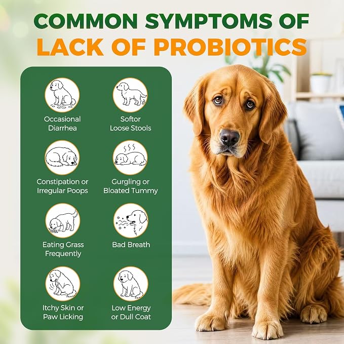 Probiotics for Dogs, 6-Strain Gut Health Blend with Digestive Enzymes, Pumpkin & Papaya, Chicken Flavor Chewable Tablets, 100 Count, Supports Digestive Health for All Breeds