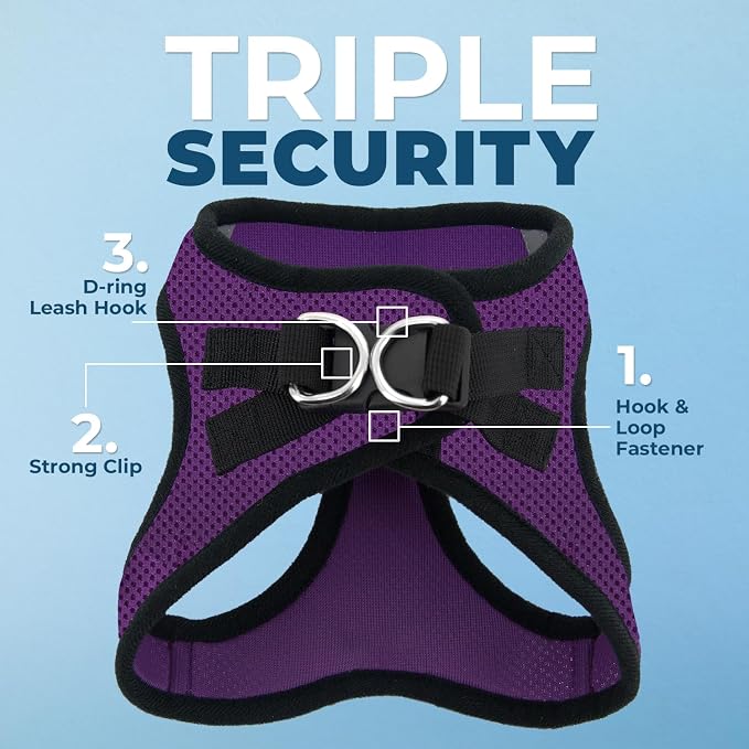 Best Pet Supplies Voyager Step-in Air All Weather Mesh Harness and Reflective Dog 5ft Leash Combo with Neoprene Handle, for Small, Medium and Large Breed Puppies - Purple/Black Trim, XX-Small