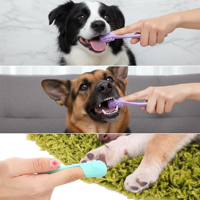 4 Pack Dog Finger Toothbrush Small Breed, Silicone Dog and Cat Finger Toothbrush Kit Food Grade, Easily Clean Teeth Dirt