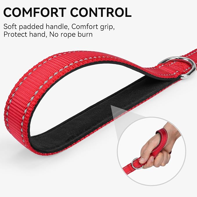 Joytale Reflective Dog Leash for Small Dogs, 5 FT x 3/4", Red | Heavy Duty Nylon Webbing, Padded Handle for Comfort, Visible at Night, for Walking & Training