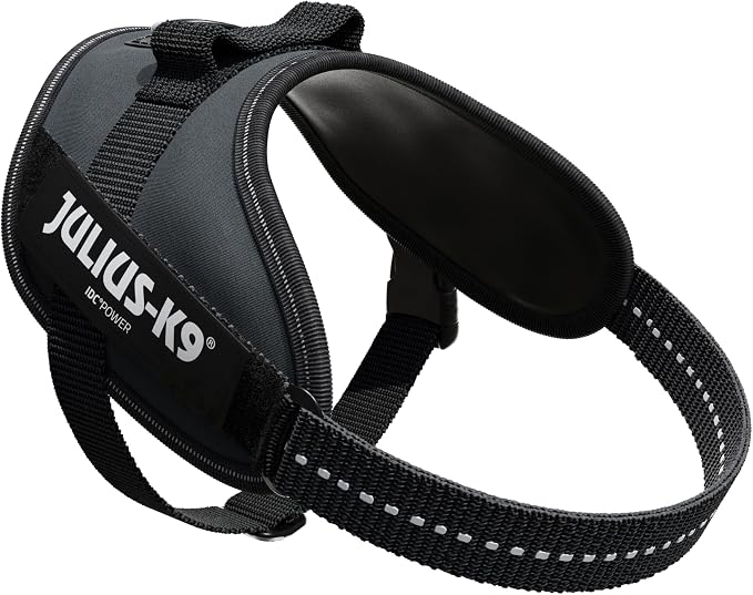 Julius-K9, 16IDC-ANT-M, IDC Powerharness, Dog Harness, Size: Mini, Anthracite