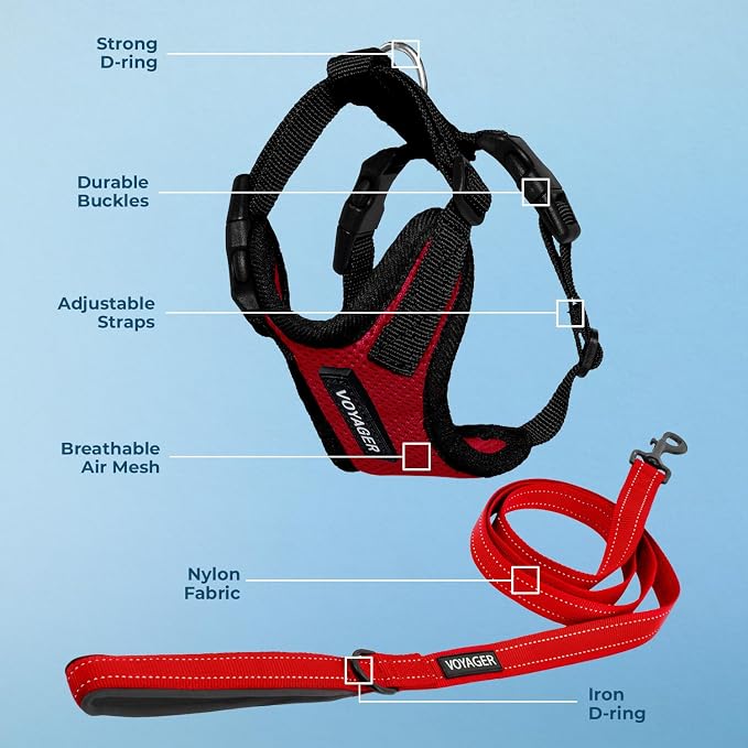Best Pet Supplies Voyager Step-in Lock Pet Harness w Reflective Pet Leash Combo Set with Neoprene Handle 5ft - Supports Small, Medium and Large Breed Puppies/Cats - Red/Black Trim Set, S